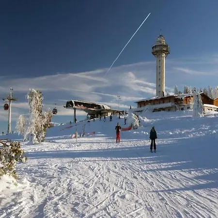 Chalets Heringhausen Chalet *